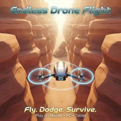 Endless Drone Flight Desert Survival