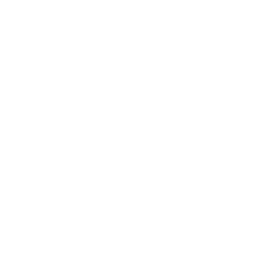 Bird Runner Games